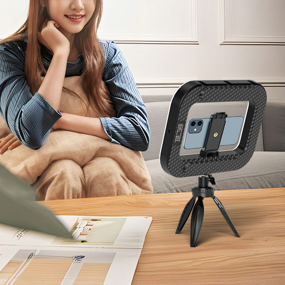 Lampe de remplissage portable  - Photography Lighting Handheld avis et prix