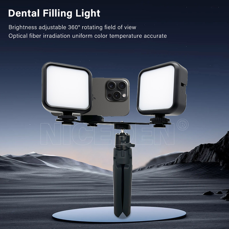 Niceden Lampe Flash Portable D - Photography Lighting Handheld avis et prix