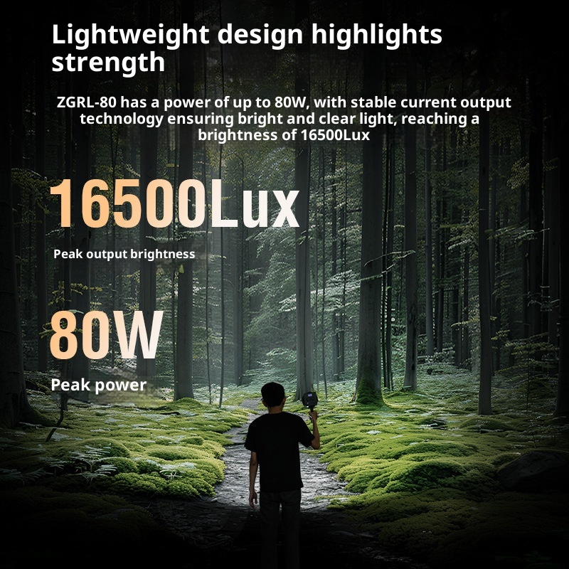ZGRL80 80W COB LED lumière vid - Photography Lighting Outdoor avis et prix