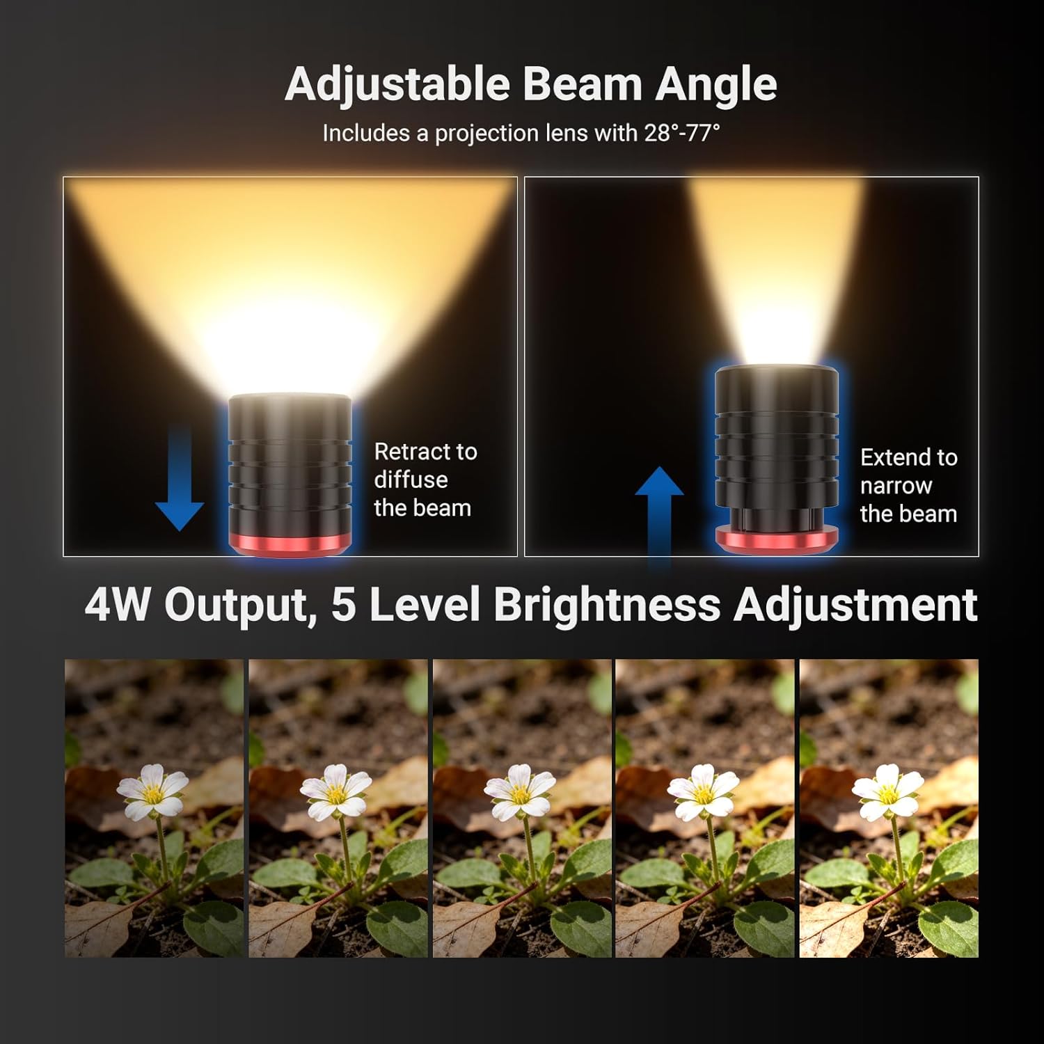 NEEWER BASICS Lot de 2 lampes  - Photography Lighting Basics avis et prix