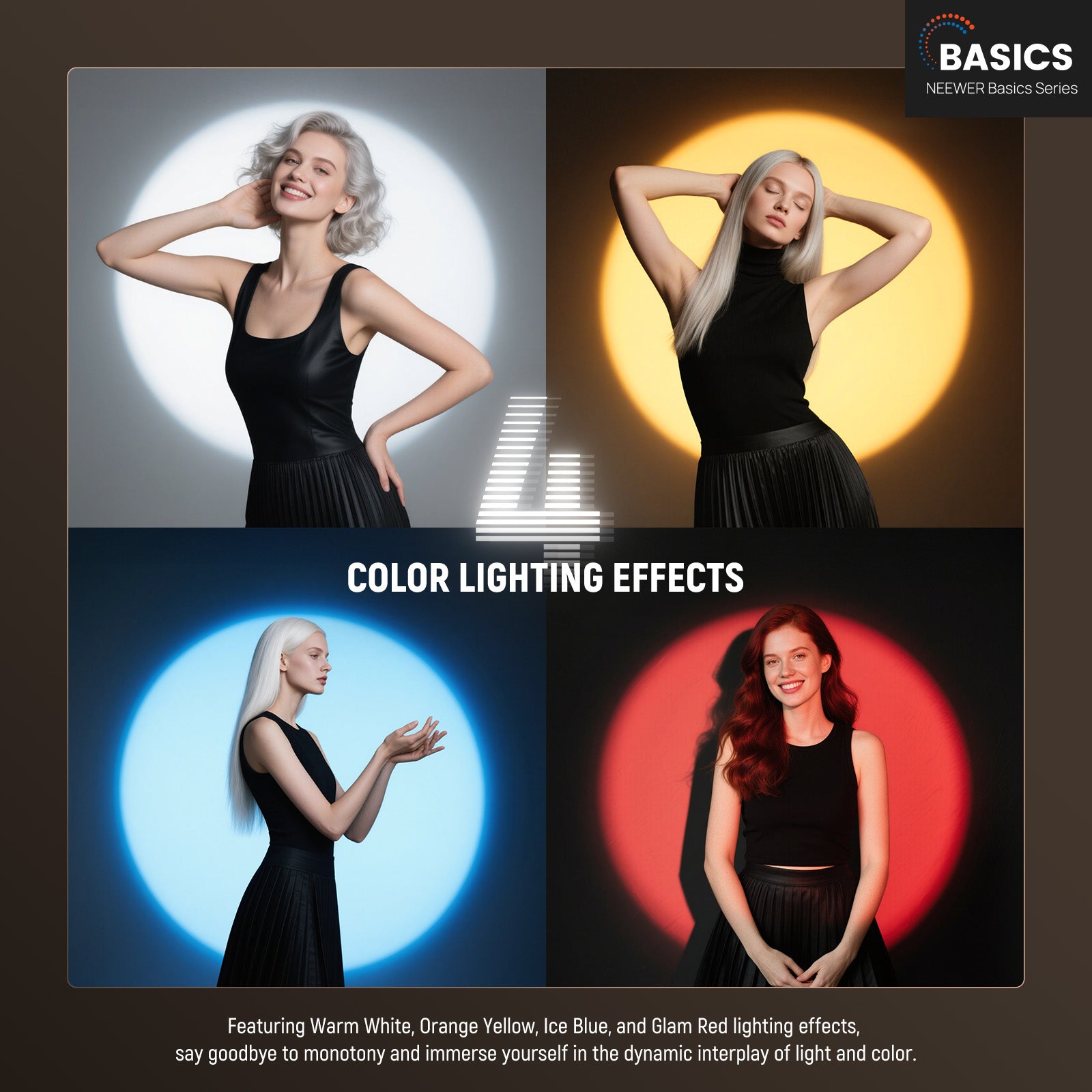 Lampe de photographie NEEWER B - Photography Lighting Basics avis et prix